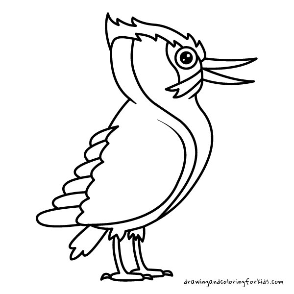 600x600 Drawing Birds For Kids Coloring Pages Birds Drawing Penguin