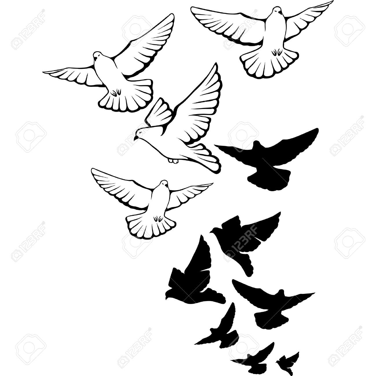 1300x1300 Huge Collection Of 'bird Flight Drawing' Download More Than