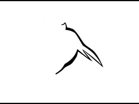 480x360 One Line Bird Drawing
