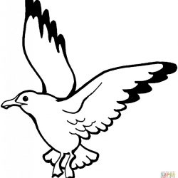 250x250 Bird Line Drawing Blue Liver Vector Tattoo Clipart A T Shirt