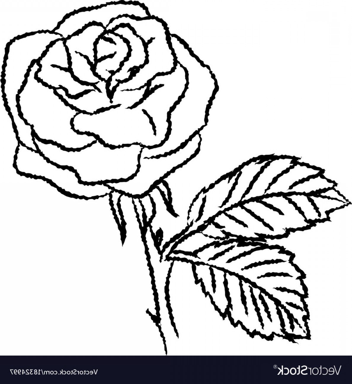 1188x1296 Line Drawing Of Rose Simple Line Vector Soidergi