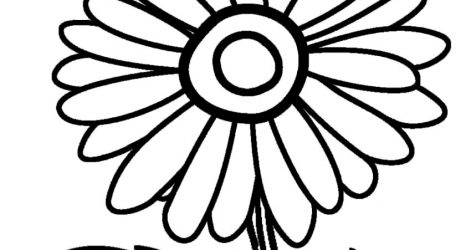 471x250 Drawing A Sunflower Youtube Ideas Pencil Template Simple Easy Line