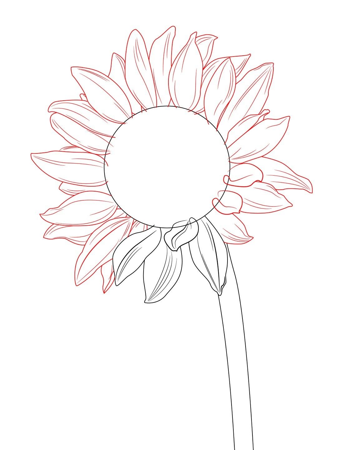 1080x1440 How To Draw A Sunflower Doodles To Draw Sunflower Drawing