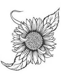Line Drawing Sunflower | Free download on ClipArtMag