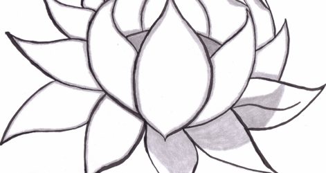 471x250 sunflower drawing black and white flower vector aster single