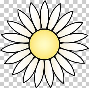 310x306 Common Sunflower Drawing Art White Png, Clipart, Art, Black, Brand