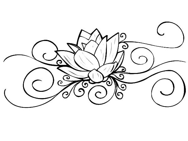 600x450 Lotus Flower Drawings For Tattoos Lotus Flower Line Drawing Draw