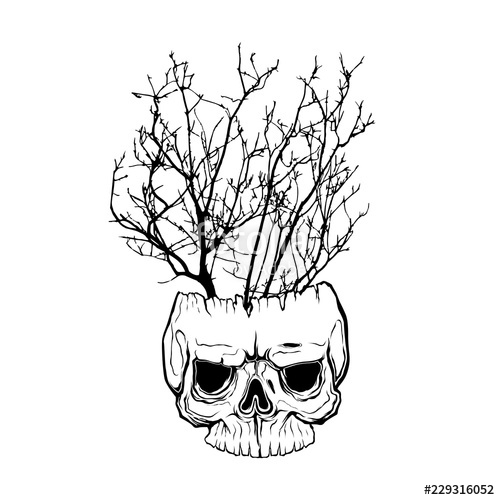 500x500 Tree Branch On Human Skull Isolated Hand Drawn Line Art Vector
