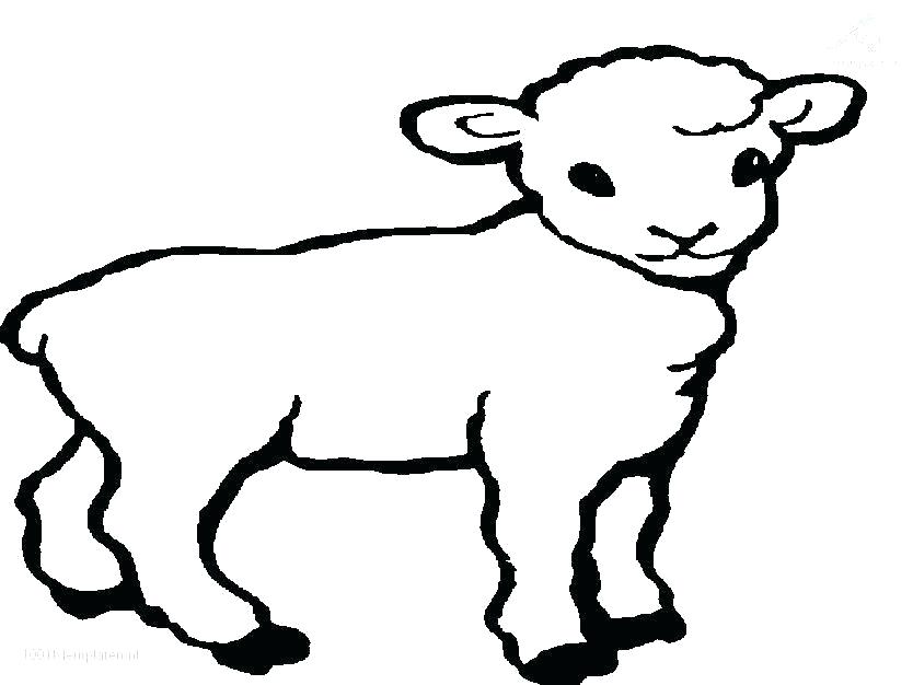 834x626 Lamb Coloring Pages