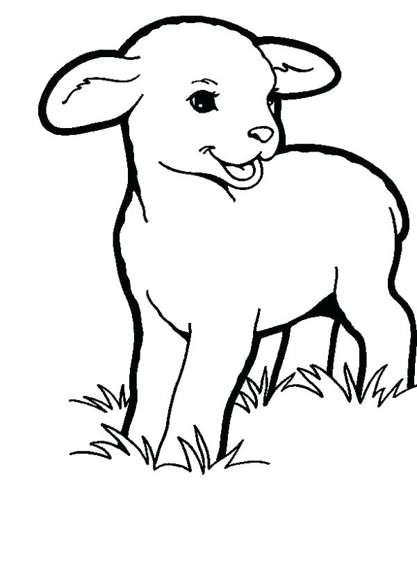 600x845 Lion Lamb Coloring