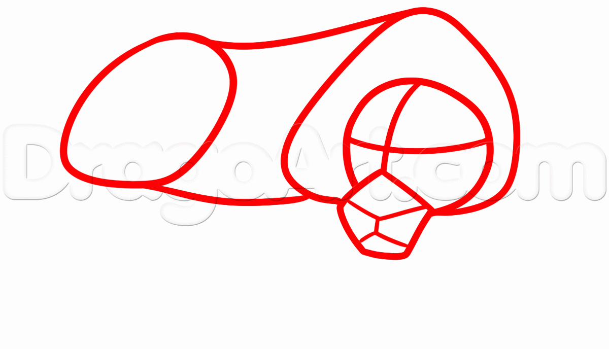 1200x688 How To Draw A Lioness, Step