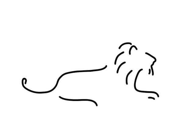 600x423 Lion Drawings Fine Art America