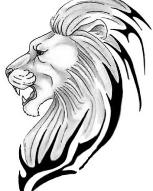 300x375 Lion Drawings Pictures Lion Pictures Lion Drawing