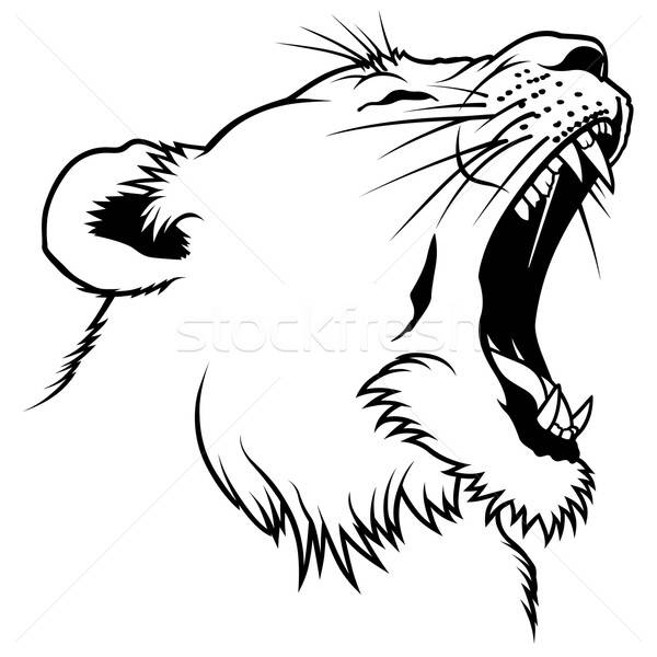 600x600 Lioness Head Vector Illustration Roman Dekan