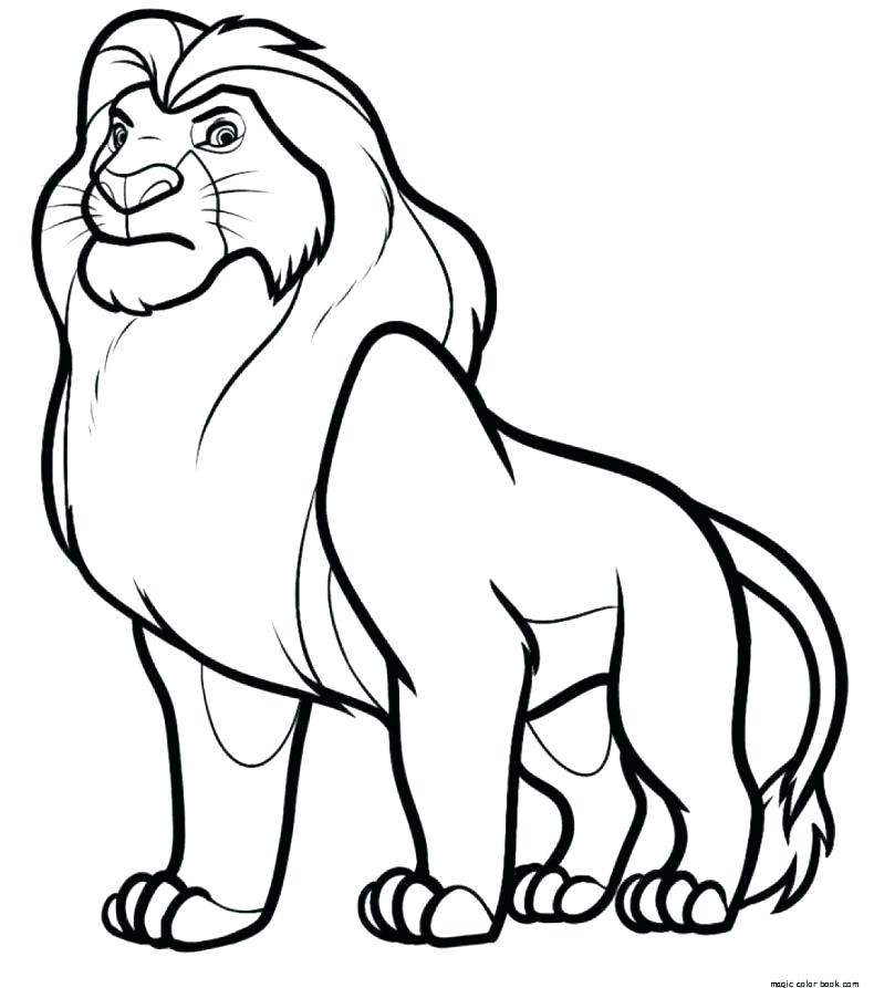 790x893 Coloring Pages Draw A Lion Nip