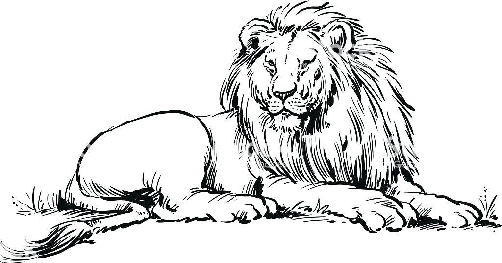 1024x536 Drawing Clipart Board Black And White Thematic