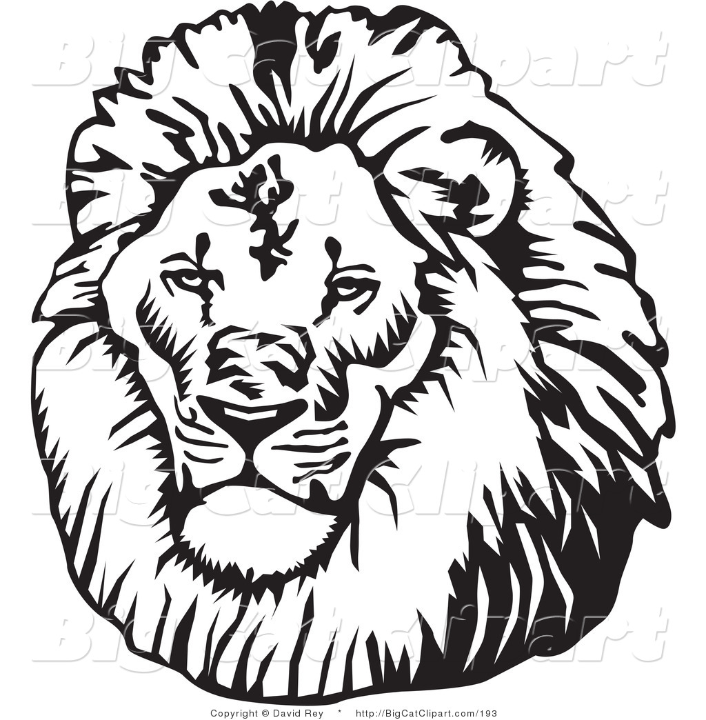 1024x1044 Clipart Of Lion Black And White