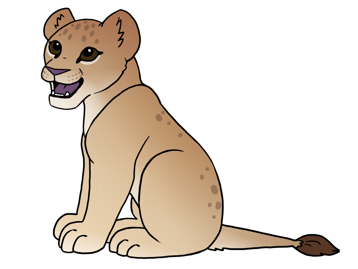 1200x900 How To Draw A Lion Cub Steps