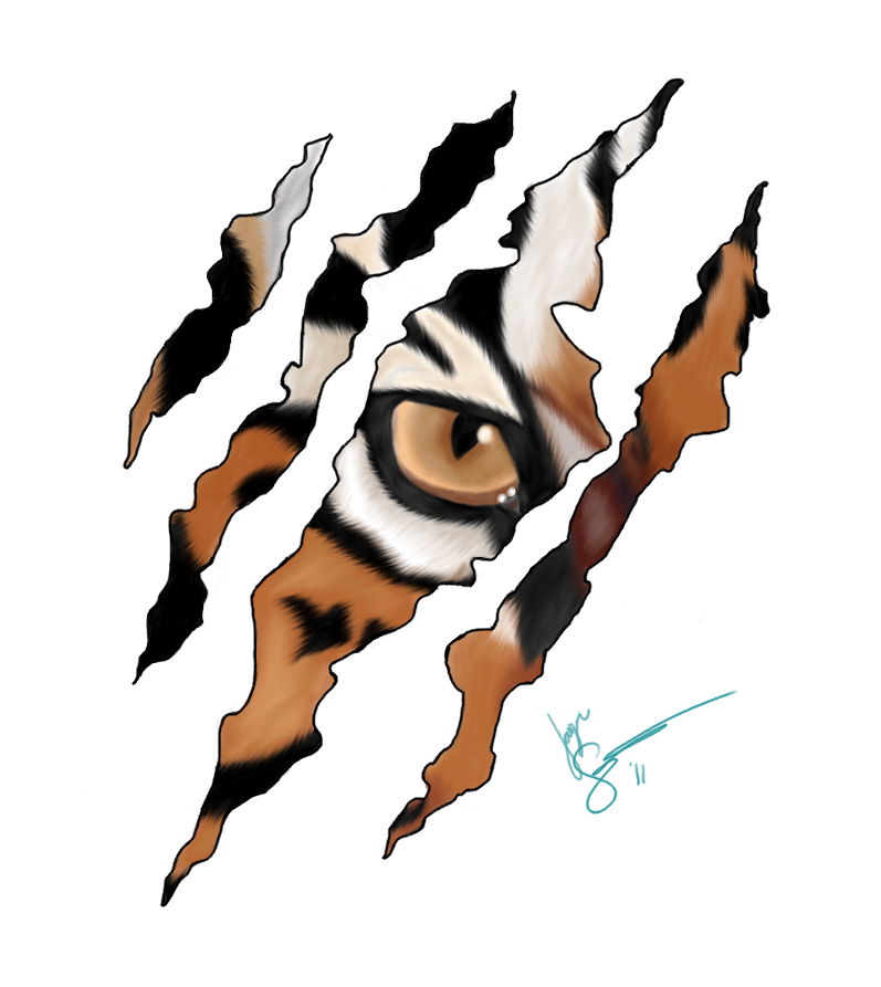 797x893 Tiger Scratch