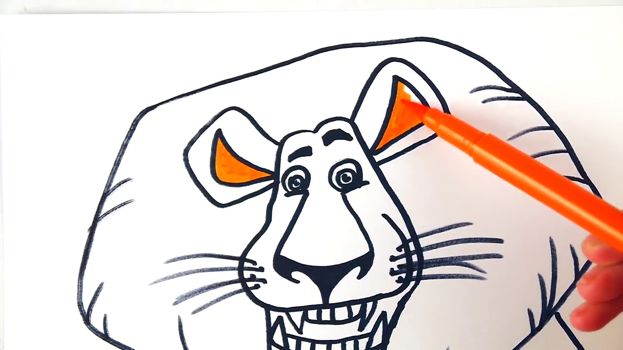 1280x720 How To Draw And Color Lion Alex