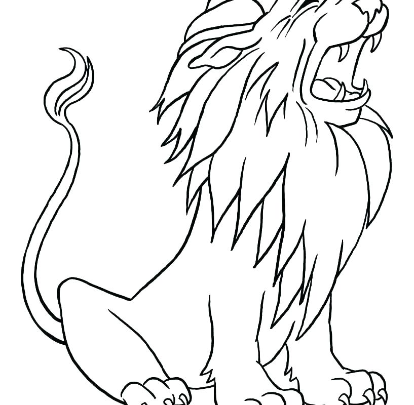 817x800 Coloring Pages Mountain Lion Coloring Pages