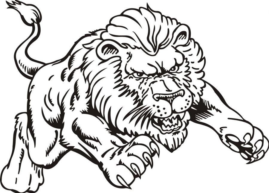 900x645 Cool Coloring Pages Of Lions Free
