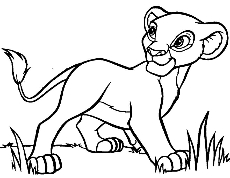 Lion Colour Drawing