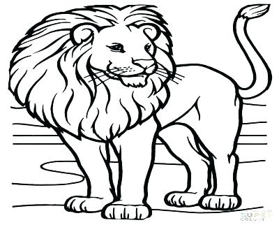 Lion Colour Drawing | Free download on ClipArtMag