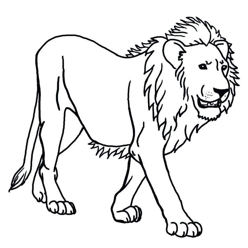 863x863 Lion Colour Drawing At Free For Personal Use Color Sheet Medium