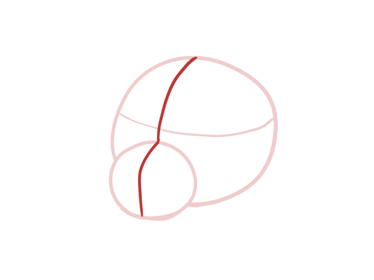 728x546 How To Draw A Lion Cub Steps