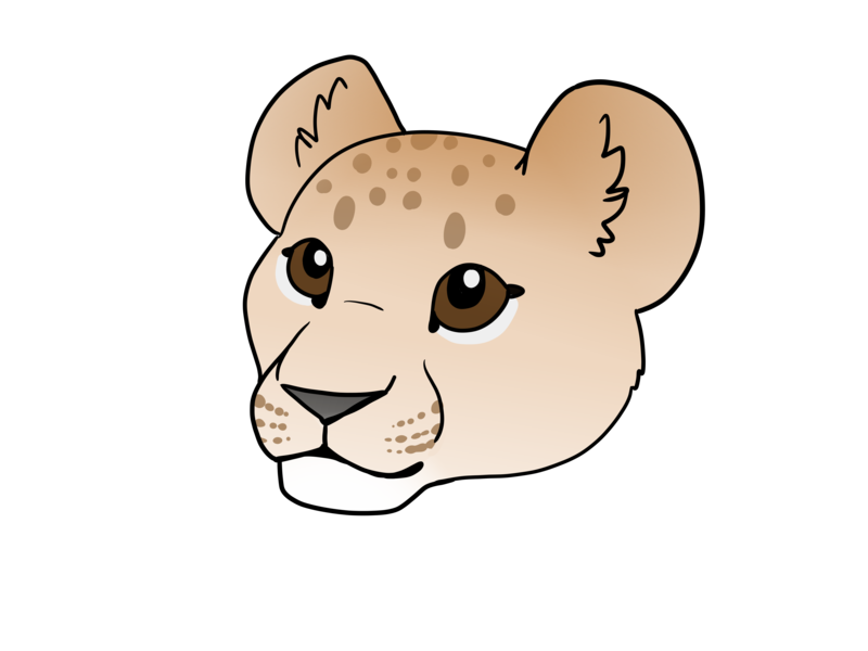 800x600 How To Draw A Lion Cub Vripmaster