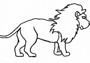 300x210 Lion Drawing Easy How To Draw A Lion