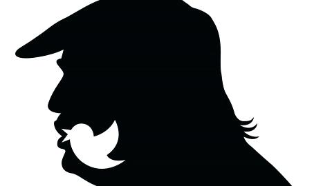 480x270 Coloring Pages Online Unicorn Halloween Bats Pumpkin Lion Den