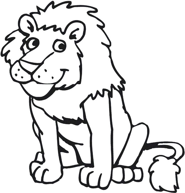736x766 Lions Coloring Pages Female Lion Drawing At Free For Personal Use