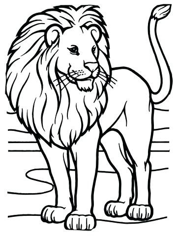 360x480 Coloring Pages Lions Free Printable Lion Coloring Pages Lion