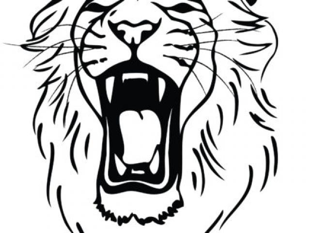 640x480 Drawing Clipart Lion