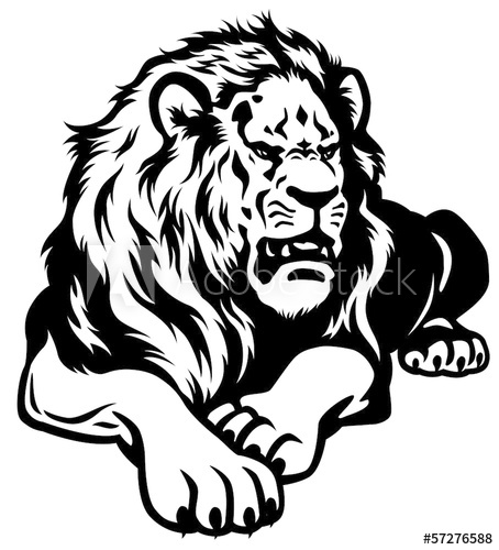 454x500 Lion Black White
