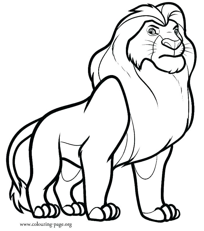 700x791 Printable Lion Coloring Pages Lion Color