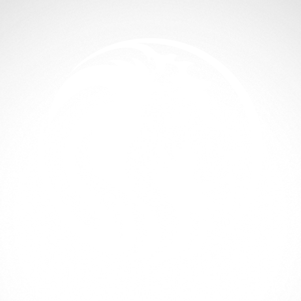 600x600 Drawing Lions Easy Transparent Png Clipart Free Download