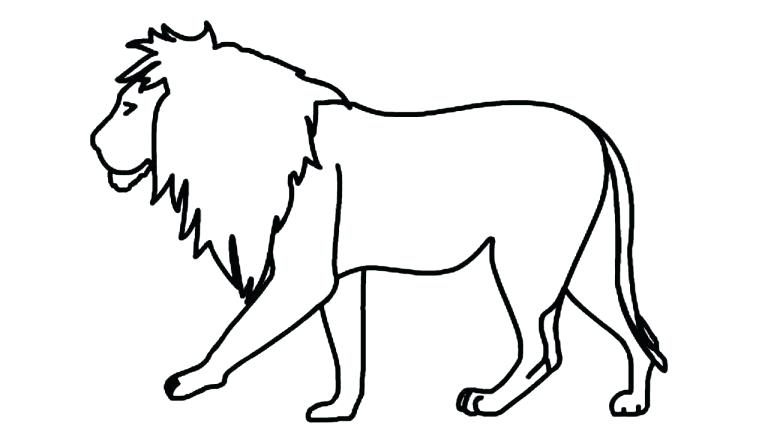 768x432 Easy Lion Drawings How To Draw Lions For Kids Step Easy Cartoon