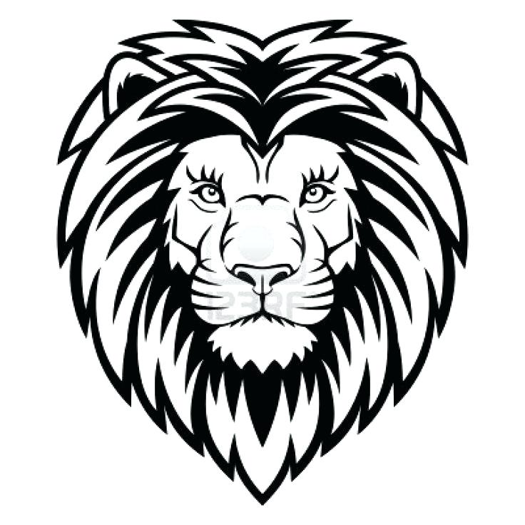 736x736 How Do You Draw A Lion Lion Head Drawer Pull