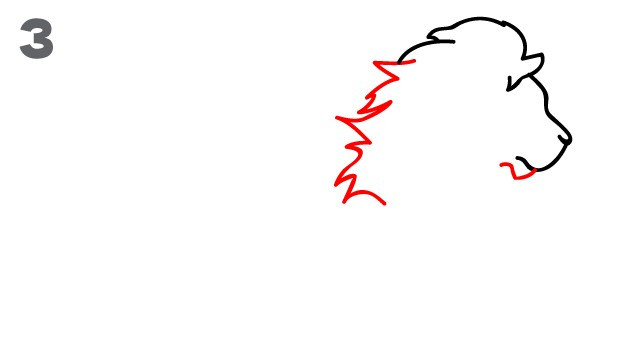 642x363 Steps To Draw A Lion Head