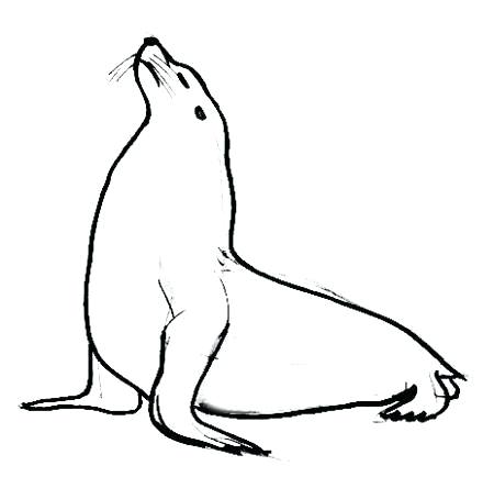 450x434 Lion How To Draw Zupa