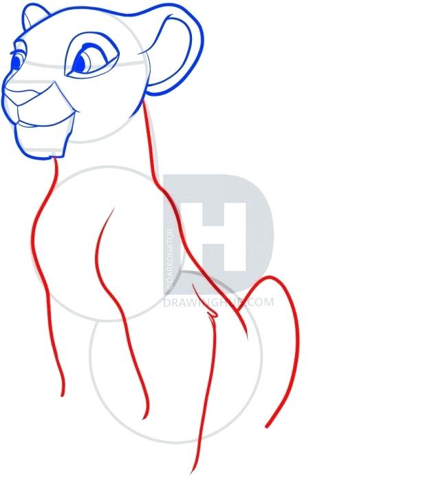 644x720 Draw Lion King How To Draw Timon From Lion King Step