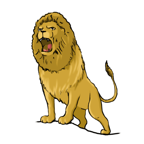 600x600 Drawing Lions Step