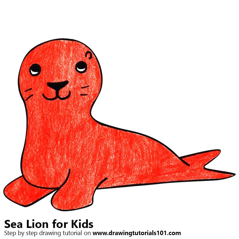 800x800 Learn How To Draw A Sea Lion For Kids
