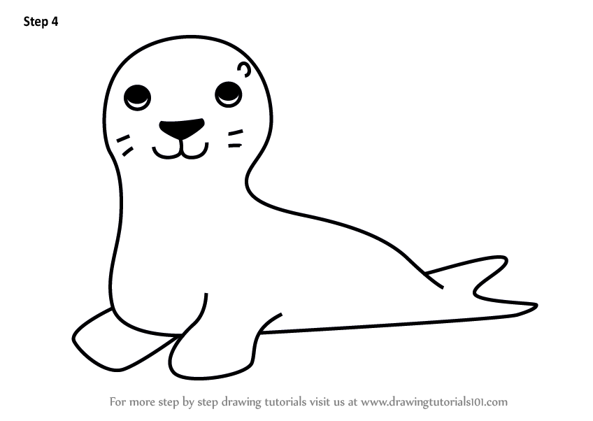 848x602 Learn How To Draw A Sea Lion For Kids