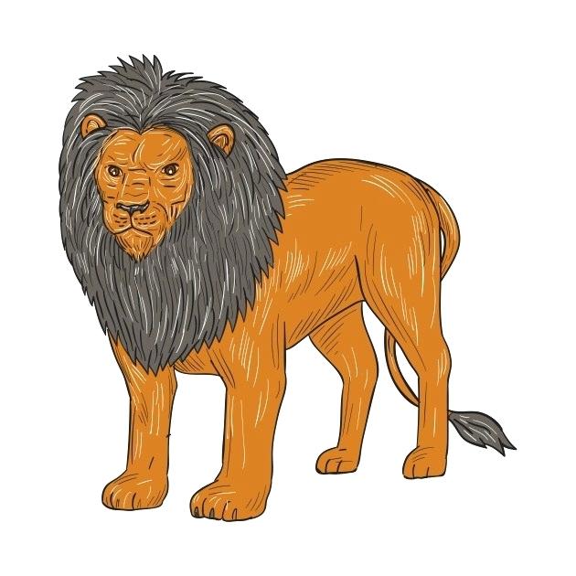 630x630 Lion Kids Drawing Lion Drawing For Kids Vernacular Architecture