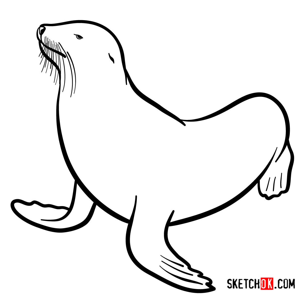 1200x1200 How To Draw A Sea Lion Sea Animals