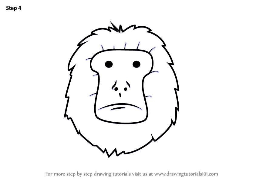 844x598 Learn How To Draw A Golden Lion Tamarin Face For Kids